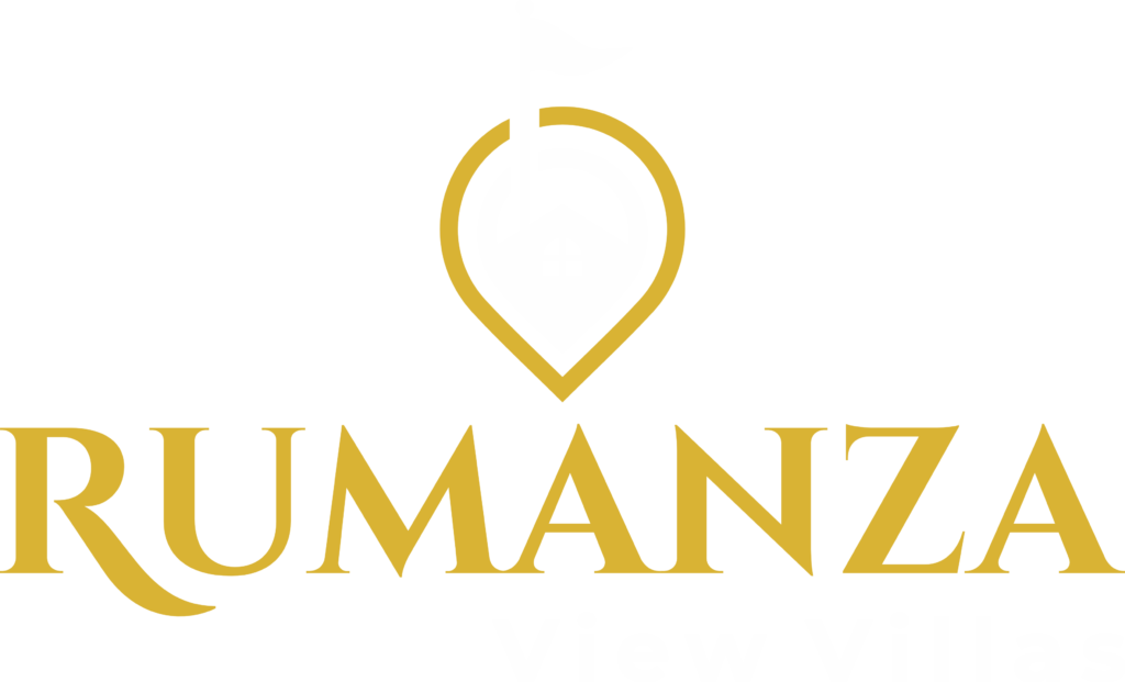 rvv logo for website